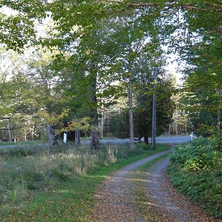 Chamcook Forest Lodge Bed & Breakfast St. Andrews By The Sea Dış mekan fotoğraf