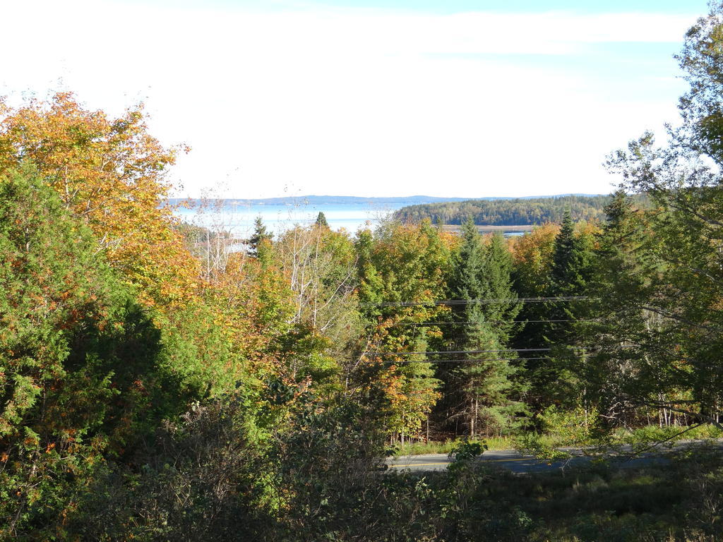 Chamcook Forest Lodge Bed & Breakfast St. Andrews By The Sea Dış mekan fotoğraf